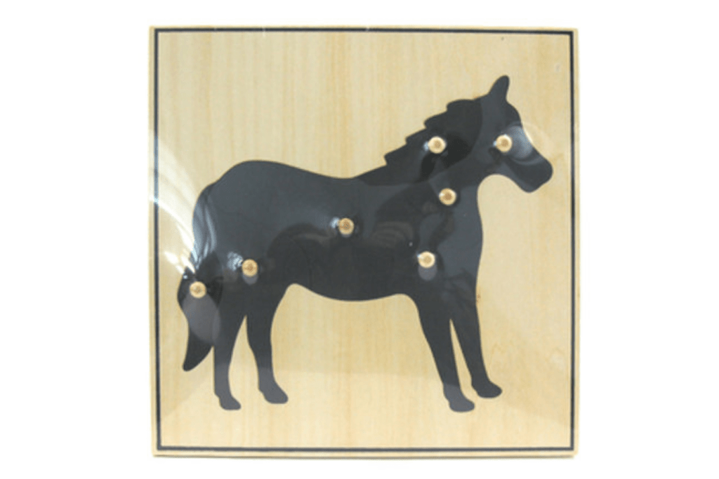 Zoology Puzzle - Parts of the Horse, Montessori classroom materials, Casa Biology materials, budget-friendly Montessori materials, The Montessori Room, Toronto, Ontario, Canada. 