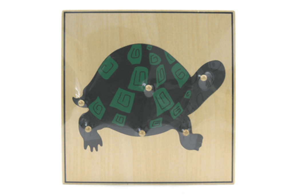 Zoology Puzzle - Parts of the Turtle, Montessori classroom materials, Casa Biology materials, budget-friendly Montessori materials, The Montessori Room, Toronto, Ontario, Canada. 