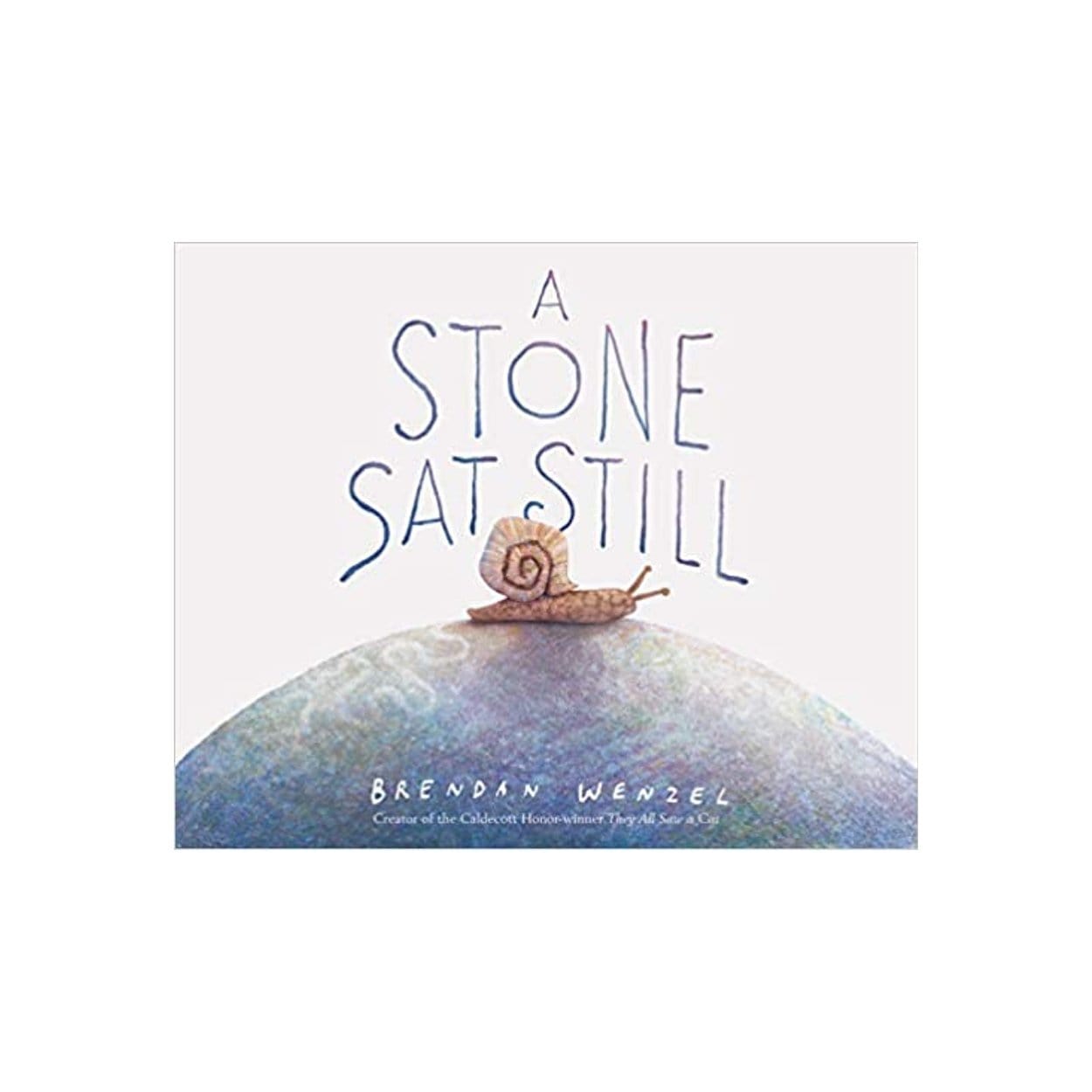 A Stone Sat Still - The Montessori Room Brendan Wenzel, Toronto, Ontario, Canada, Books for kids, Children's books, toddler books, books about animals, best books for kids
