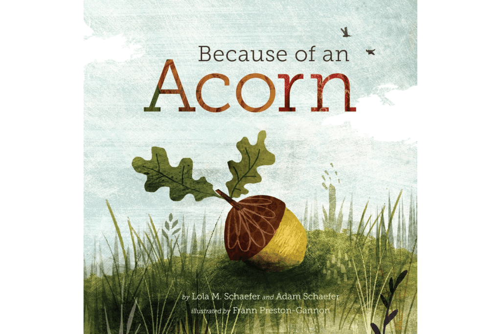 Because Of An Acorn by Lola M. Schaefer and Adam Schaefer [Hardcover], ages 3 to 5, books about nature, books about interdependence, die-cut illustrations, The Montessori Room, Toronto, Ontario, Canada. 