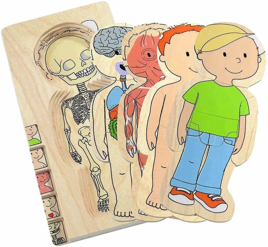 Beleduc Boy Layer Puzzle - The Montessori Room, Toronto, Ontario, Canada, Beleduc, puzzle, toddler puzzle, children's puzzle, anatomy puzzle, science puzzle, educational puzzle, best gift for 3 year old, best gift for 4 year old, wooden puzzle for kids, layered puzzle