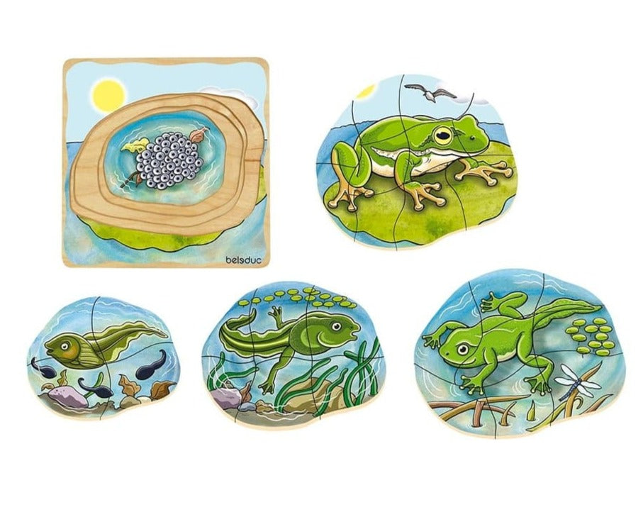Beleduc Layer Puzzle - Lifecycle of a Frog - The Montessori Room Learn about the lifecycle of a frog, from egg to tadpole to mature adult.  An amazing tool to teach the lifecycle of animals.   Features 5 puzzles in 1, each layered on the next., Toronto, Ontario, Canada