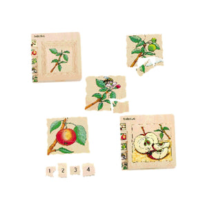 Beleduc Layer Puzzle - Lifecycle of an Apple - The Montessori Room