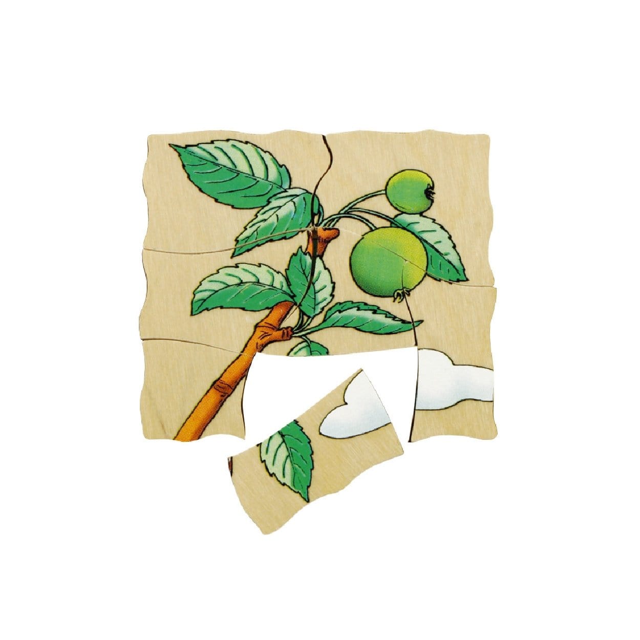 Beleduc Layer Puzzle - Lifecycle of an Apple - The Montessori Room