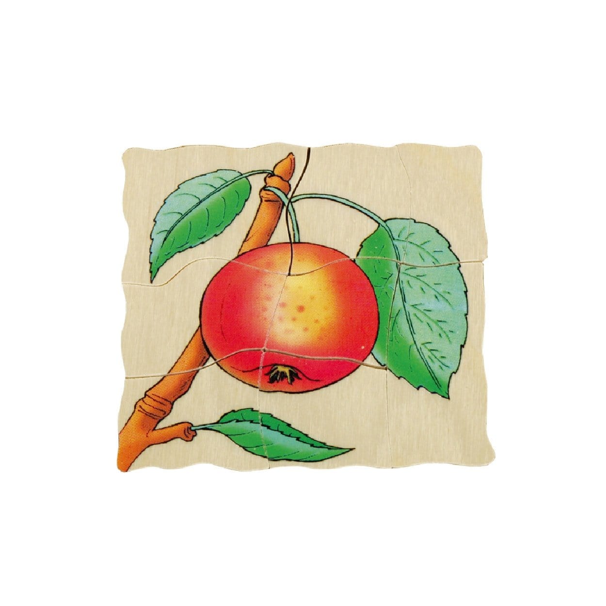 Beleduc Layer Puzzle - Lifecycle of an Apple - The Montessori Room