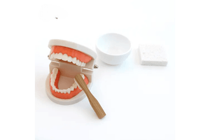 Brushing Teeth Activity Set