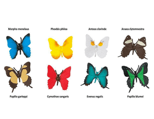 Butterflies Toob® - The Montessori Room