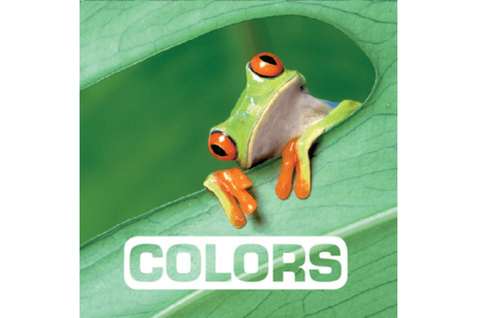 Harper Collins Colors by Marie Vendittelli