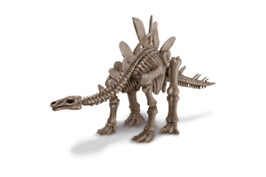 Dig a Dino Skeleton - Stegosaurus