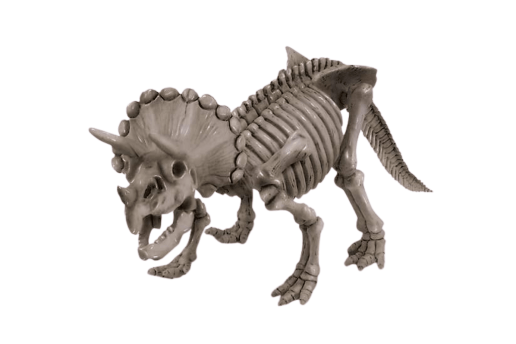 Dig a Dino Skeleton - Triceratops