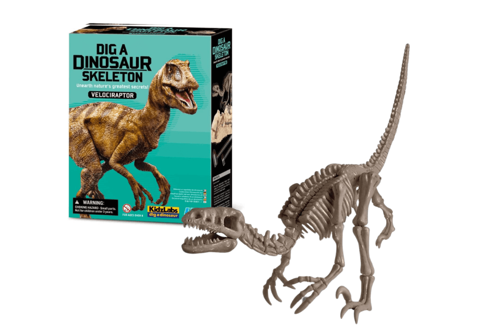 Dig a Dino Skeleton - Velociraptor