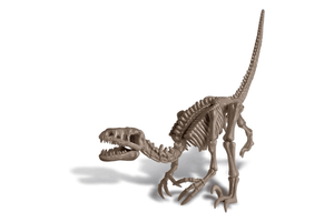 Dig a Dino Skeleton - Velociraptor