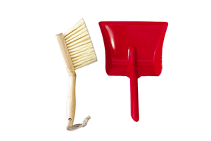 Dustpan and Hand Broom