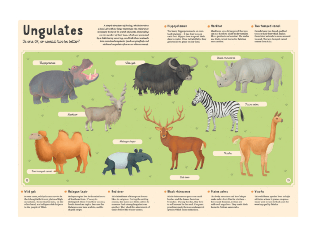 Encyclopedia of Animals for Young Readers