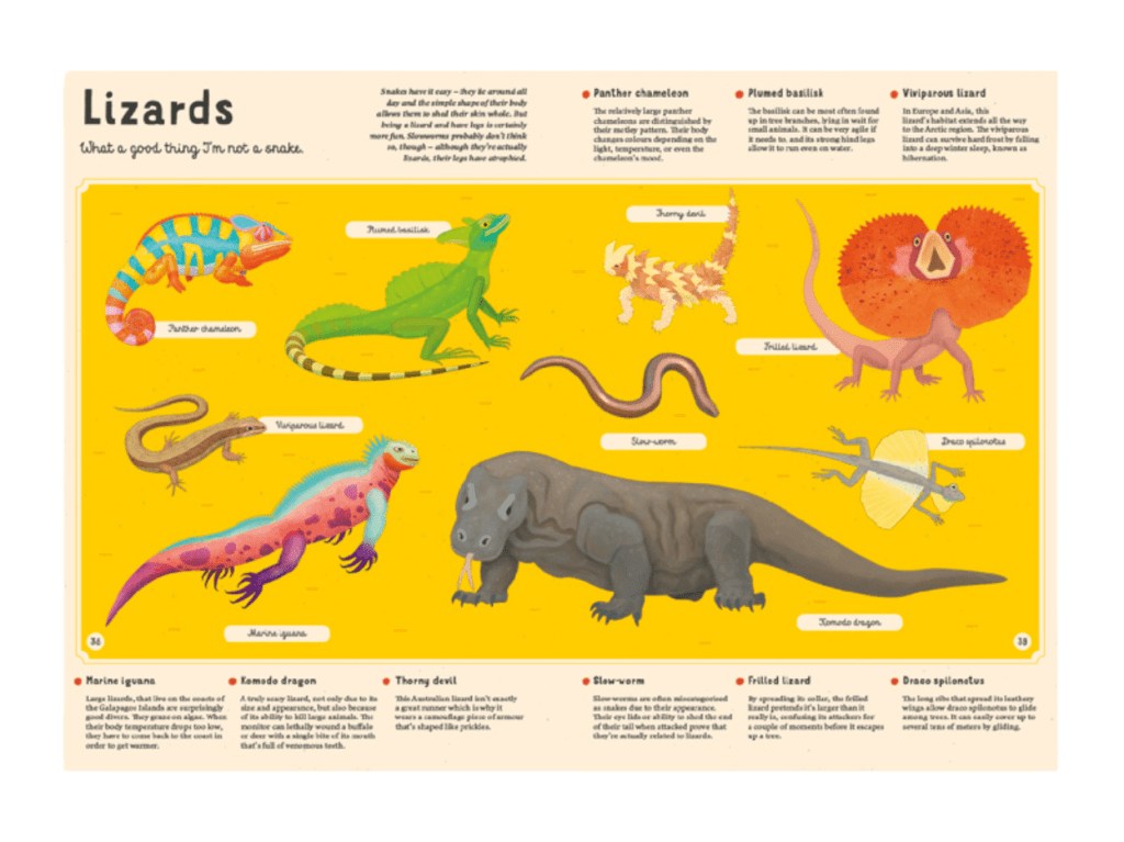 Encyclopedia of Animals for Young Readers - The Montessori Room