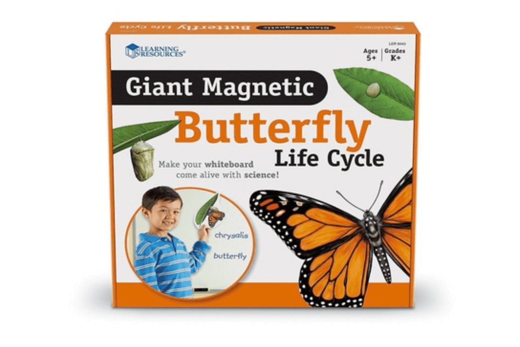 Giant Magnetic Butterfly Life Cycle by Learning Resources, depict 9 stages of a butterfly&#39;s life, from larva to pupa to chrysalis, realistically illustrated, Montessori Life Cycle work, classroom materials, educational materials, The Montessori Room, Toronto, Ontario, Canada. 