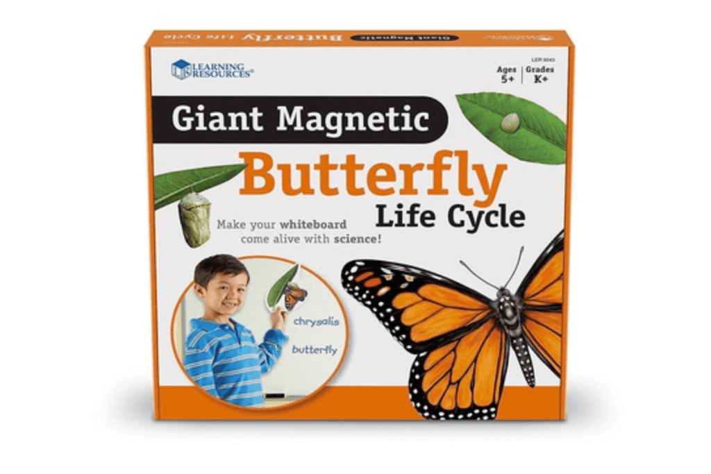 Giant Magnetic Butterfly Life Cycle by Learning Resources, depict 9 stages of a butterfly's life, from larva to pupa to chrysalis, realistically illustrated, Montessori Life Cycle work, classroom materials, educational materials, The Montessori Room, Toronto, Ontario, Canada. 
