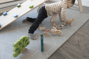 Holztiger Lion - The Montessori Room
