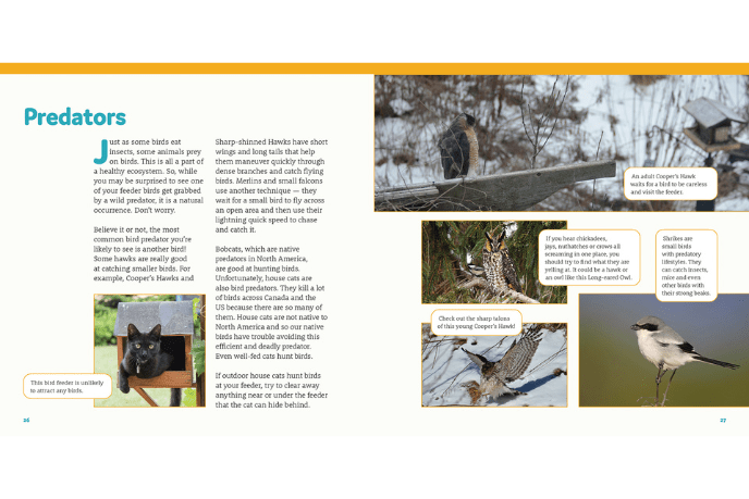 How To Feed Backyard Birds: A Step-By-Step Guide For Kids [Soft cover]