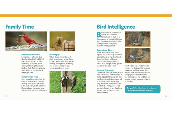 How To Feed Backyard Birds: A Step-By-Step Guide For Kids [Soft cover]