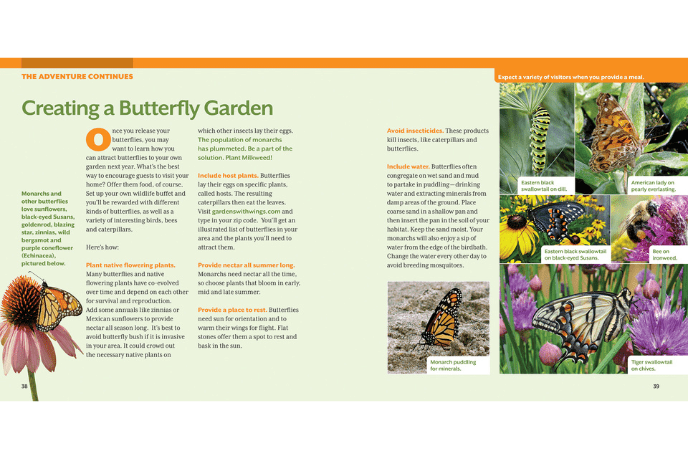 How to Raise Monarch Butterflies: A Step-by-Step Guide for Kids [Soft cover]