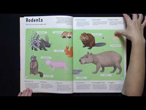 Encyclopedia of Animals for Young Readers