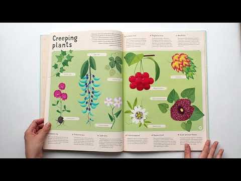 Encyclopedia of Plants, Fungi and Lichens for Young Readers