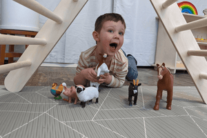 Jumbo Farm Animals - The Montessori Room