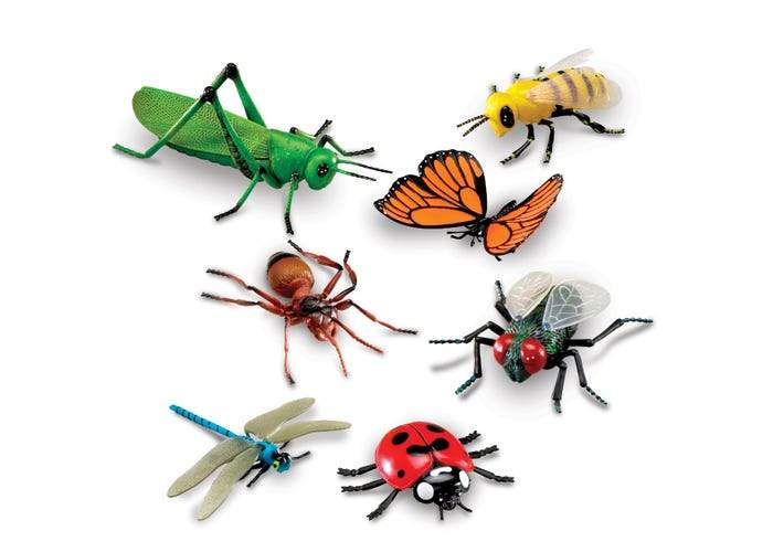 Learning Resources Jumbo Insects, Canada, Toronto, The Montessori Room