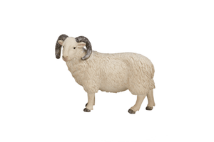 Mojo toys Toronto Sheep ram