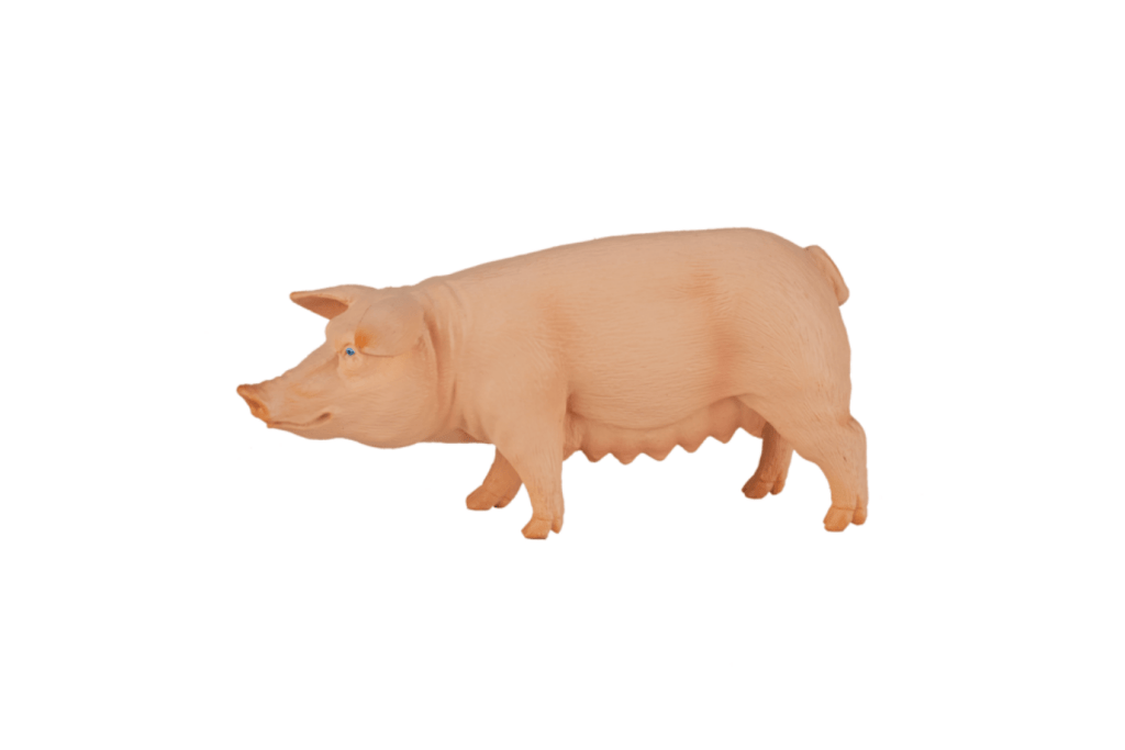 Mojo toys Toronto pig
