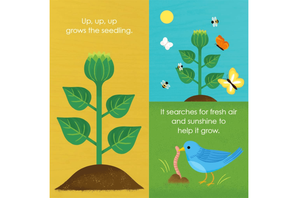 Montessori: Seed Work