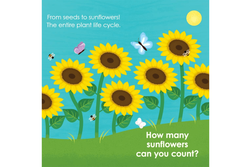 Montessori: Seed Work