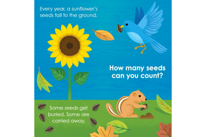 Montessori: Seed Work