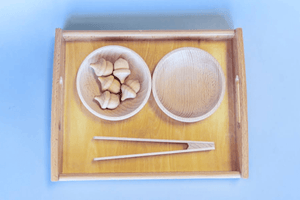 Montessori Tonging Activity - Acorns - includes Tongs, Tray, Bowls and Wooden Acorns
