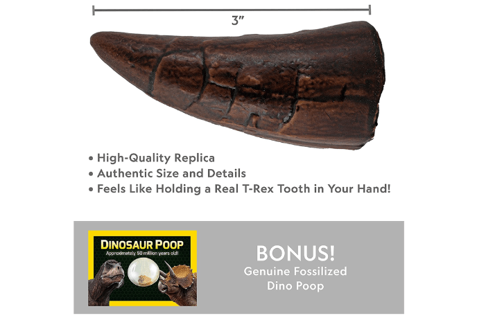 National Geographic Dino Fossil Dig Kit