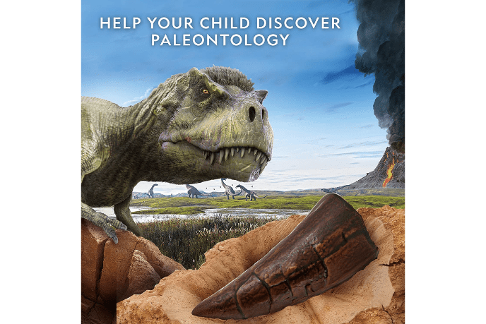 National Geographic Dino Fossil Dig Kit