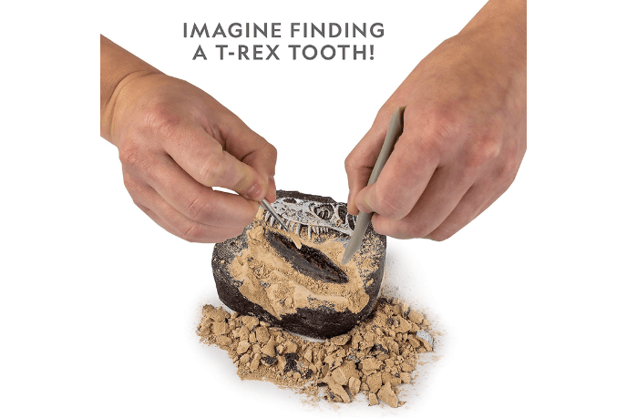 National Geographic Dino Fossil Dig Kit