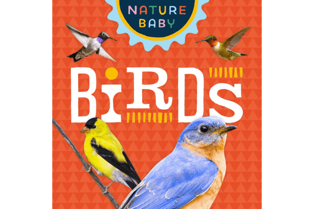 Nature Baby: Birds 9781647552572 | Board Book, adventure publications, bird books for young children, bird books for toddlers, backyard bird books for little kids, backyard bird identification books for little kids, Toronto, Canada