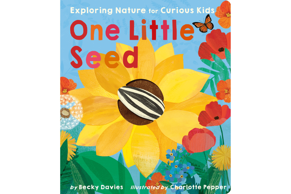 One Little Seed, EXPLORING NATURE FOR CURIOUS KIDS By Becky Davies Illustrated by Charlotte Pepper, board book for kids about how flowers grow, lift the flap books for toddlers, lift the flap books for preschoolers, books about gardening for kids, books about the life cycle of plants for children, The Montessori Room, Toronto, Ontario. 