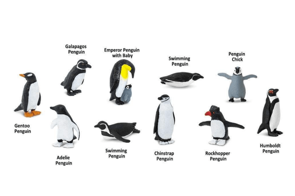 Penguins TOOB®