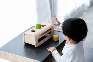 Plan Toys Shape and Sort - The Montessori Room