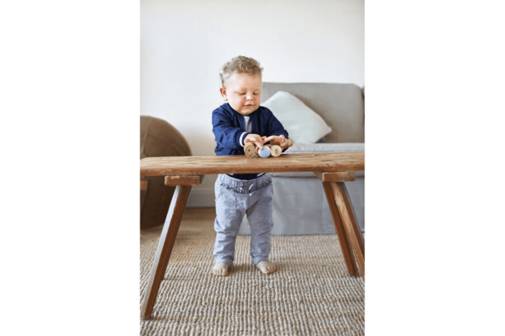 Rolling Wooden Turtle