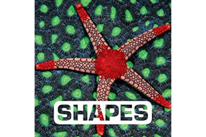 Shapes by Judith Nouvion - The Montessori Room, Toronto, Ontario, Canada, children&#39;s books, board books, real life pictures, real life books, shapes in nature, animal shapes, Montessori books, toddler books, baby books, non fiction books for kids