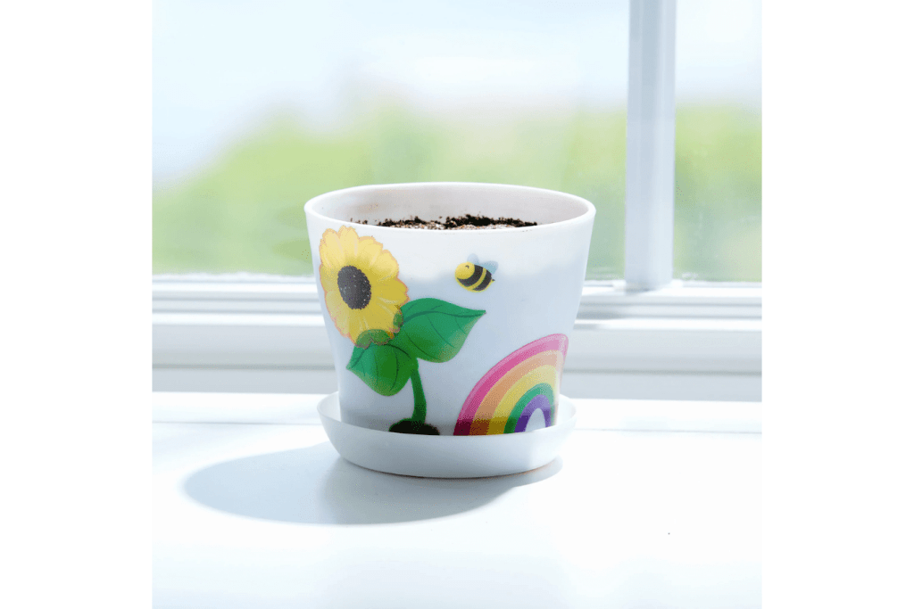 Sunflower Garden Kit