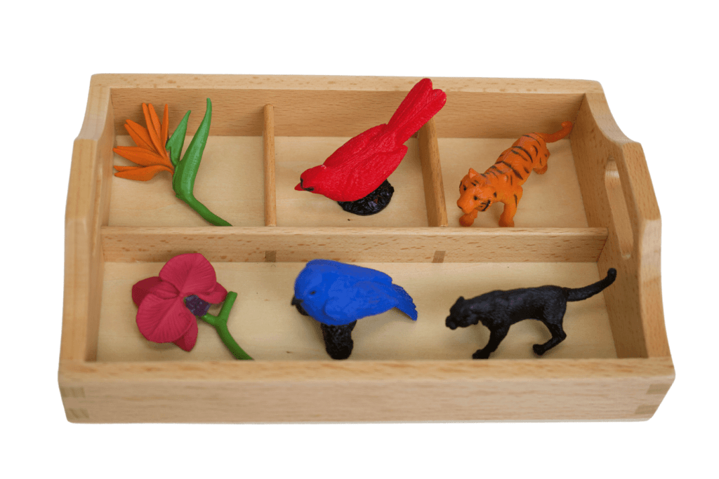 Sorting Tray (3 compartments) – Manine Montessori