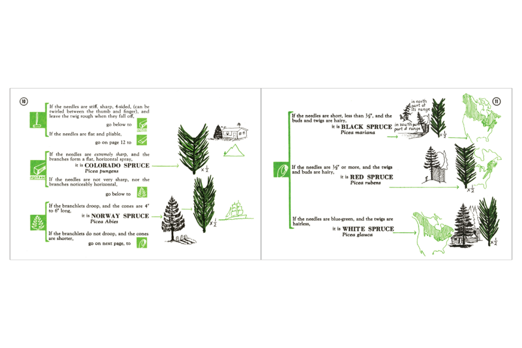 Tree Finder: A Manual for Identification of Trees by their Leaves (Eastern US)