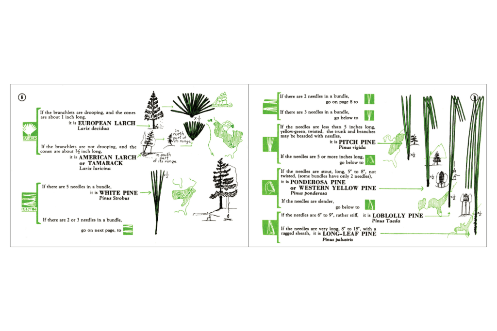 Tree Finder: A Manual for Identification of Trees by their Leaves (Eastern US)