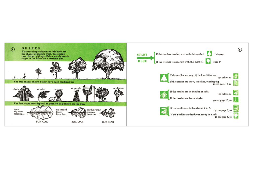 Tree Finder: A Manual for Identification of Trees by their Leaves (Eastern US)