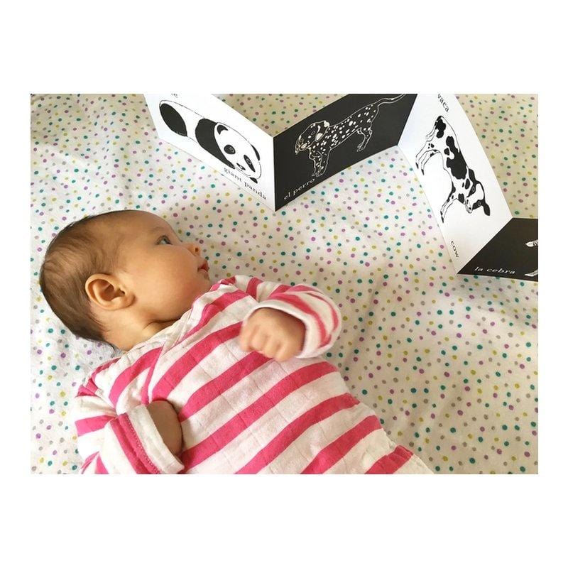 Tummy Time Accordion Cards for Baby - The Montessori Room, black and white baby cards, visual development for baby, infant development tools, early development toys, baby registry gift ideas, Toronto, Ontario, Canada